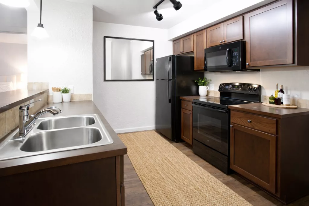 Modern kitchen with dark wood cabinets, stainless steel appliances, double sink, and a beige rug on a dark wood floor.