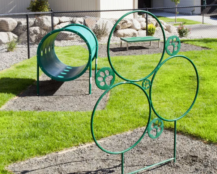 A dog agility park with green metal structures, including a large tunnel and circular hoops with paw prints.